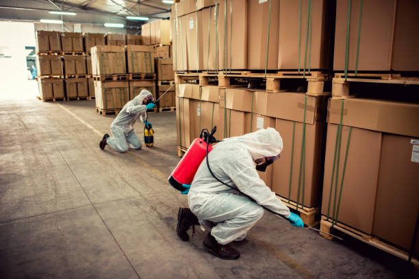 Best Flea Control Services  in South Berwick, ME