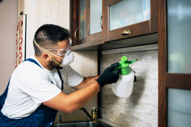 Best Affordable Pest Control Services  in South Berwick, ME