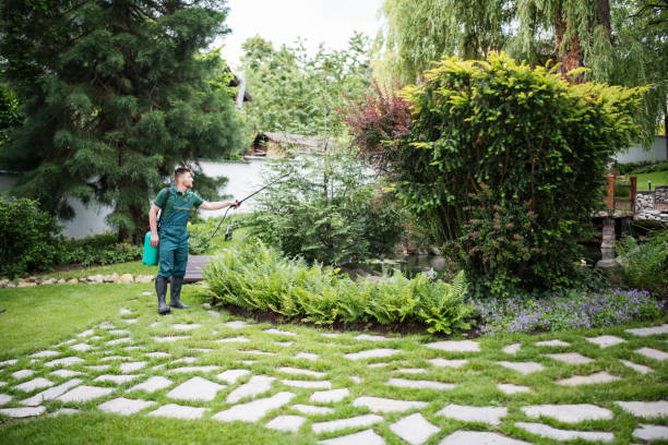 Best Mosquito Control Services  in South Berwick, ME