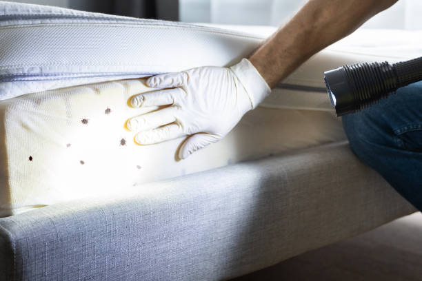 Pest Prevention Services in South Berwick, ME